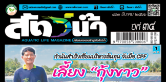 นิตยสารสัตว์น้ำ 403