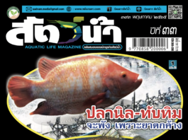 นิตยสารสัตว์น้ำ ฉบับ 393 (พฤษภาคม 2565)