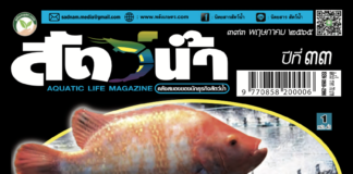 นิตยสารสัตว์น้ำ ฉบับ 393 (พฤษภาคม 2565)