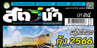 นิตยสารสัตว์น้ำ ฉบับ 404