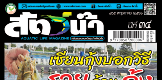 นิตยสารสัตว์น้ำ ฉบับ 405