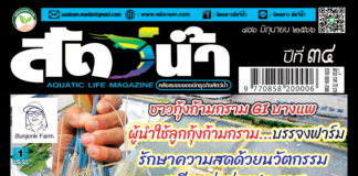 นิตยสารสัตว์น้ำ ฉบับ 406