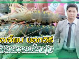 สัตว์น้ำ 405 - หมอเจี๊ยบ