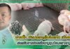 สัตว์บก 360 - ช่างติ๊ก นักปราชญ์ไบโอแก๊ส เมืองตรัง