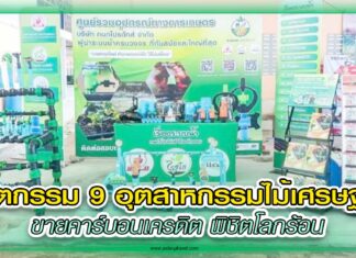 ปก กนกโปรดักส์