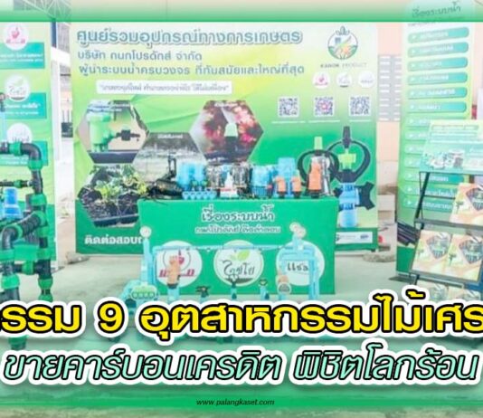 ปก กนกโปรดักส์
