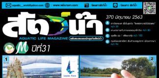 ปก นิตยสาร สัตว์น้ำ ฉบับ 370