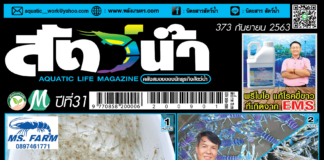 ปก นิตยสาร สัตว์น้ำ ฉบับ 373