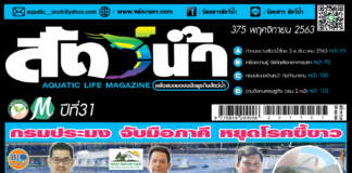 ปก นิตยสาร สัตว์น้ำ ฉบับ 375