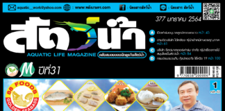 ปก นิตยสาร สัตว์น้ำ ฉบับ 377