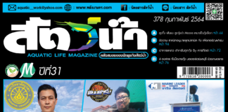 ปก นิตยสาร สัตว์น้ำ ฉบับ 378