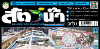 ปก นิตยสาร สัตว์น้ำ ฉบับ 380