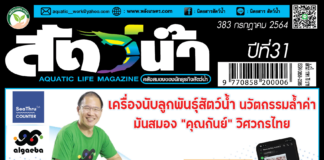 ปก นิตยสาร สัตว์น้ำ ฉบับ 383