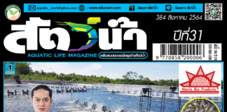 ปก นิตยสาร สัตว์น้ำ ฉบับ 384