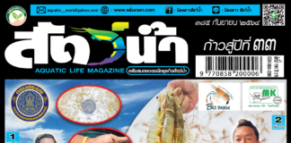 ปก นิตยสาร สัตว์น้ำ ฉบับ 385