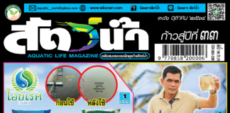 ปก นิตยสาร สัตว์น้ำ ฉบับ 386