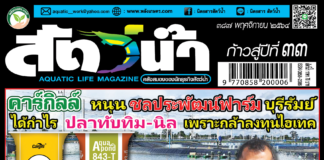 ปก นิตยสาร สัตว์น้ำ ฉบับ 387