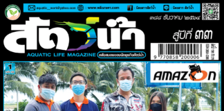 ปก นิตยสาร สัตว์น้ำ ฉบับ 388