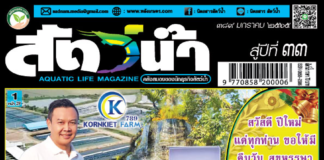 ปก นิตยสาร สัตว์น้ำ ฉบับ 389