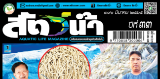 ปก นิตยสาร สัตว์น้ำ ฉบับ 391