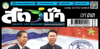 ปก นิตยสาร สัตว์น้ำ ฉบับ 392