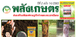 ปก นิตยสารพลังเกษตร ฉบับ 14