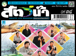 ปก นิตยสารสัตว์น้ำ ฉบับ 408 (สิงหาคม 2566)