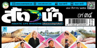 ปก นิตยสารสัตว์น้ำ ฉบับ 408 (สิงหาคม 2566)