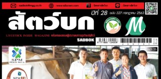 ปก นิตยสารสัตว์บก ฉบับ 327