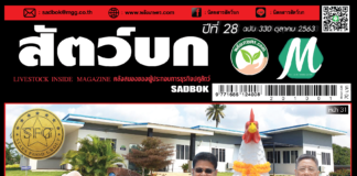 ปก นิตยสารสัตว์บก ฉบับ 330