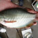 3.คุณสุนทร03