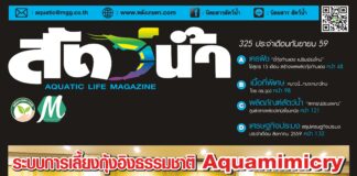 นิตยสาร สัตว์น้ำ ฉบับ 325