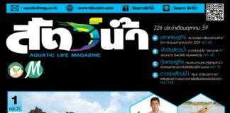 นิตยสารสัตว์น้ำ ฉบับ 326