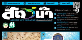 นิตยสารสัตว์น้ำ ฉบับ 328