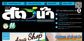 นิตยสารสัตว์น้ำ ฉบับ 329