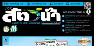 นิตยสารสัตว์น้ำ ฉบับ 330