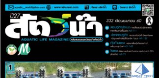 นิตยสารสัตว์น้ำ ฉบับ 332