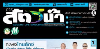 นิตยสาร สัตว์น้ำ ฉบับ 333