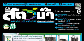 นิตยสารสัตว์น้ำ ฉบับ 336