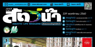 นิตยสารสัตว์น้ำ ฉบับ 339