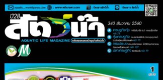 นิตยสารสัตว์น้ำ ฉบับ 340