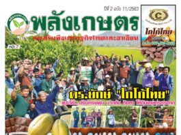 นิตยสารพลังเกษตร ฉบับ 11