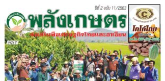 นิตยสารพลังเกษตร ฉบับ 11