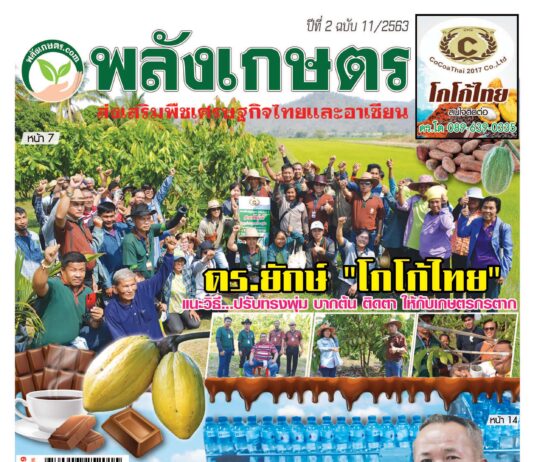 นิตยสารพลังเกษตร ฉบับ 11