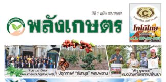 นิตยสารพลังเกษตร ฉบับ 2