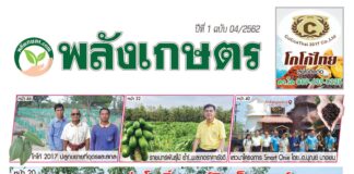 นิตยสารพลังเกษตร ฉบับ 4