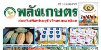 นิตยสารพลังเกษตร ฉบับ 6