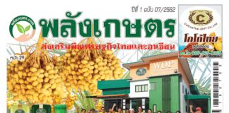 นิตยสารพลังเกษตร ฉบับ 7