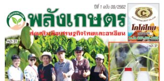 นิตยสารพลังเกษตร ฉบับ 9