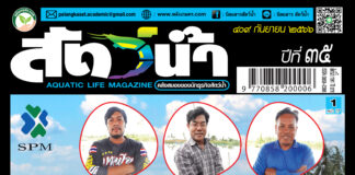 ปก นิตยสารสัตว์น้ำ ฉบับ 409